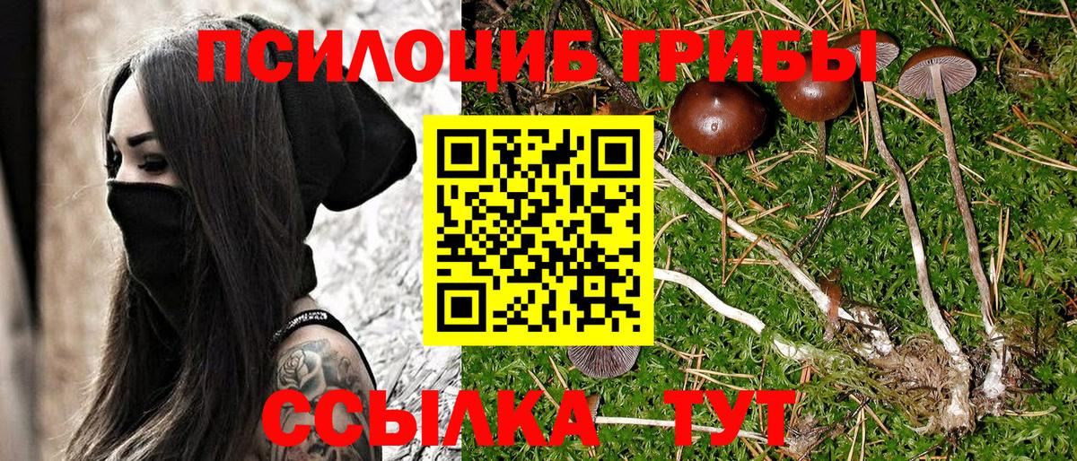 Псилоцибиновые грибы ЛСД Осинники